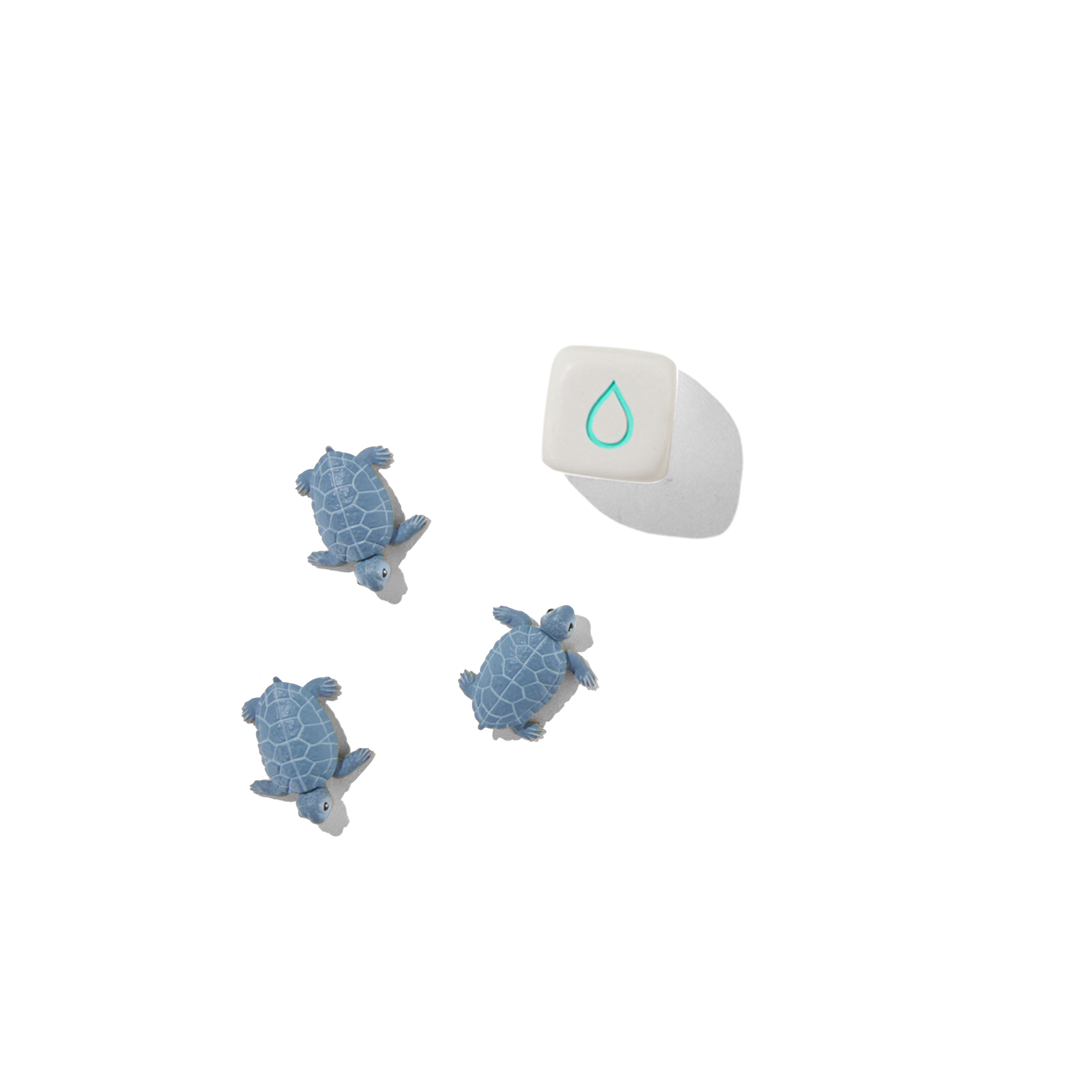 Turtle Hatch Die and Turtles (set of 3)
